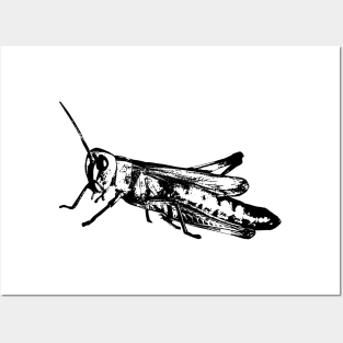 Grasshopper black Posters and Art